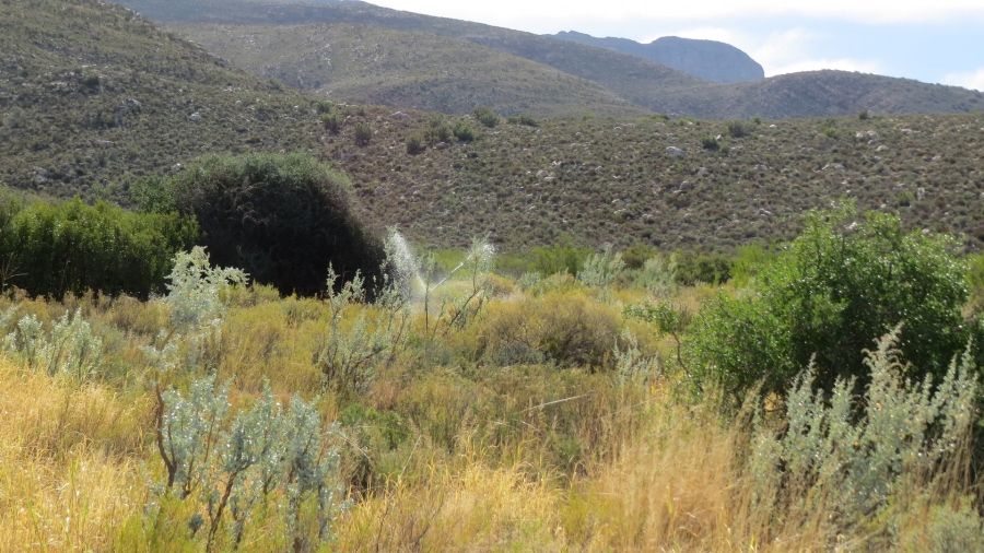 Commercial Property for Sale in Ladismith Rural Western Cape